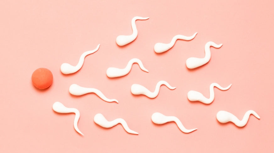 As a man, how do you ensure better sperm quality?