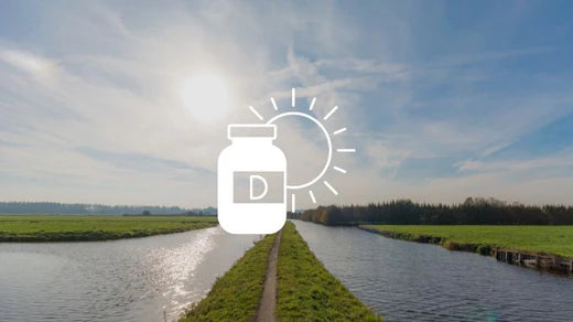 Vitamin D in the Netherlands