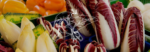 Nutrition for your liver