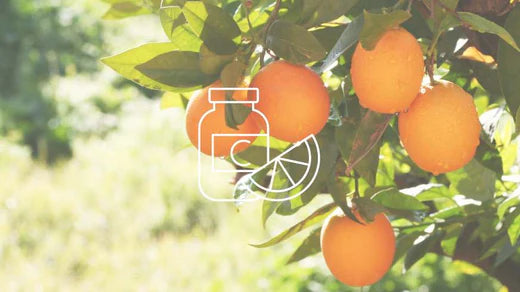 what do we know about vitamin C