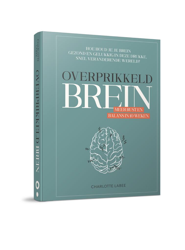 Book Overexcited Brain Charlotte Labee