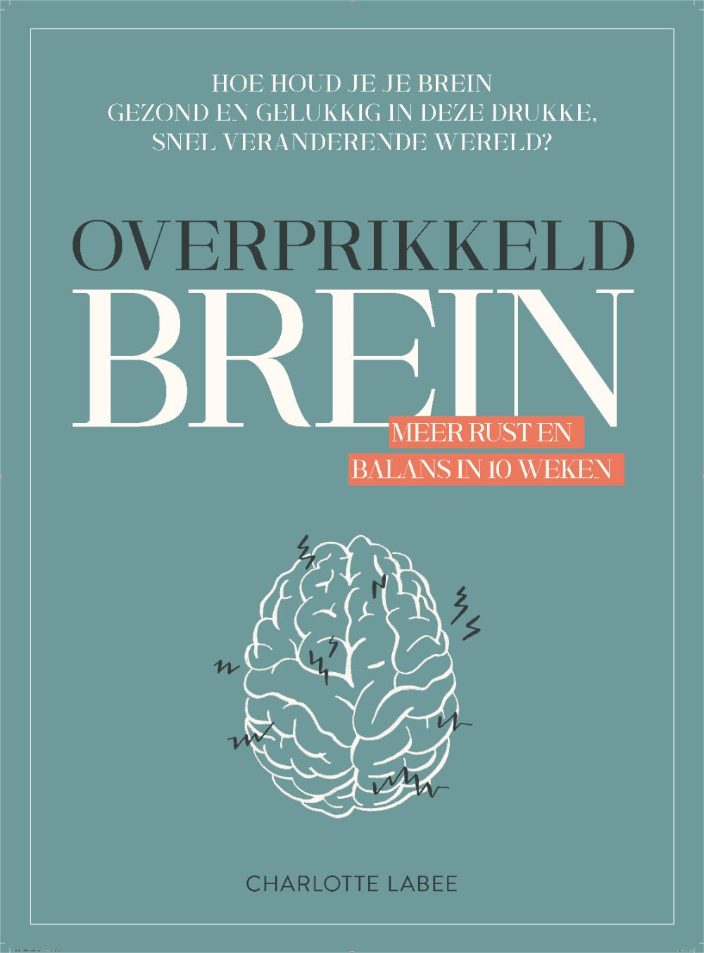 Book Overexcited Brain Charlotte Labee