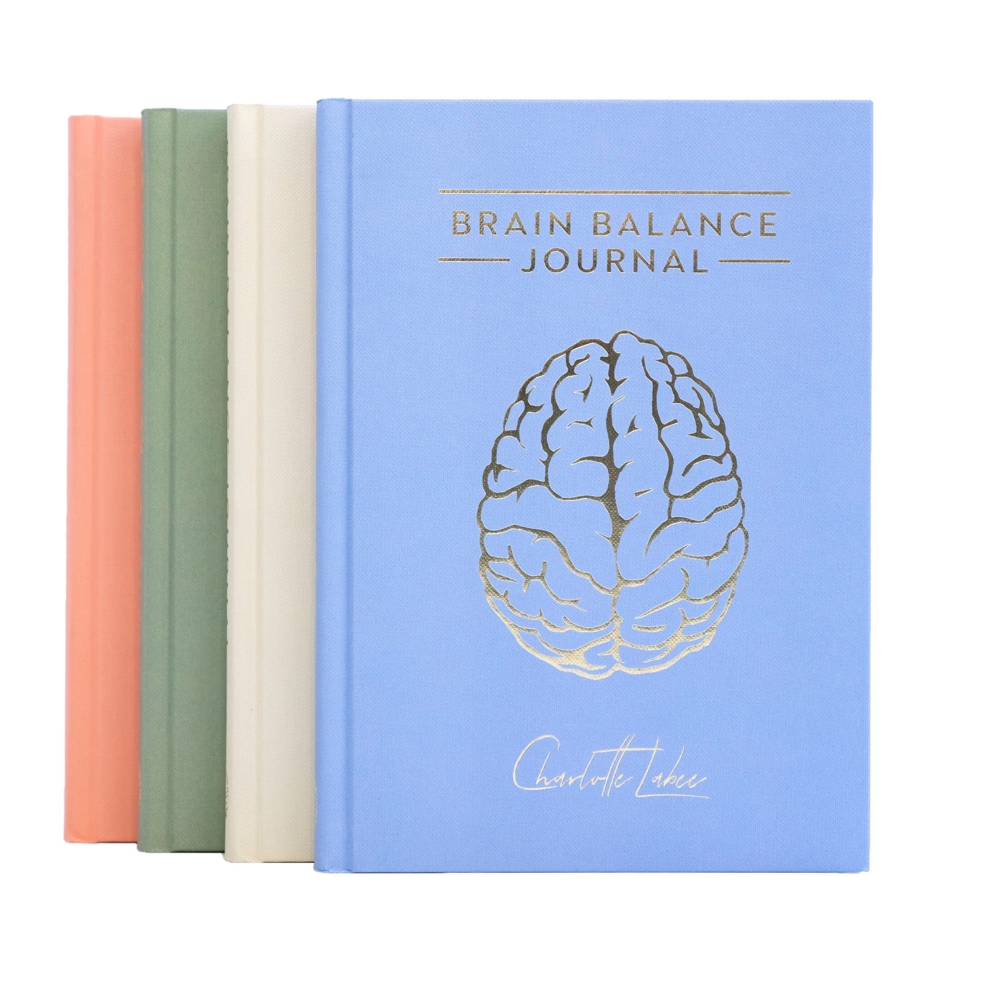 Brain Balance Journal - Ice Blue Charlotte Labee