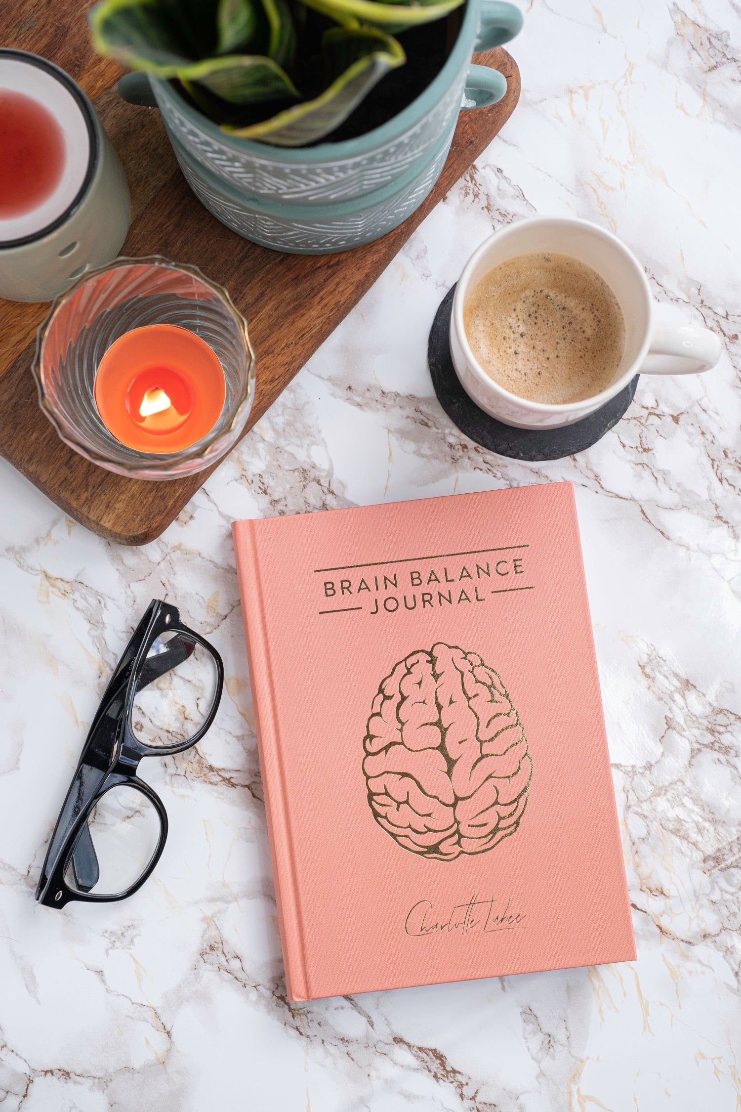 Brain Balance Journal - Light Orange Charlotte Labee