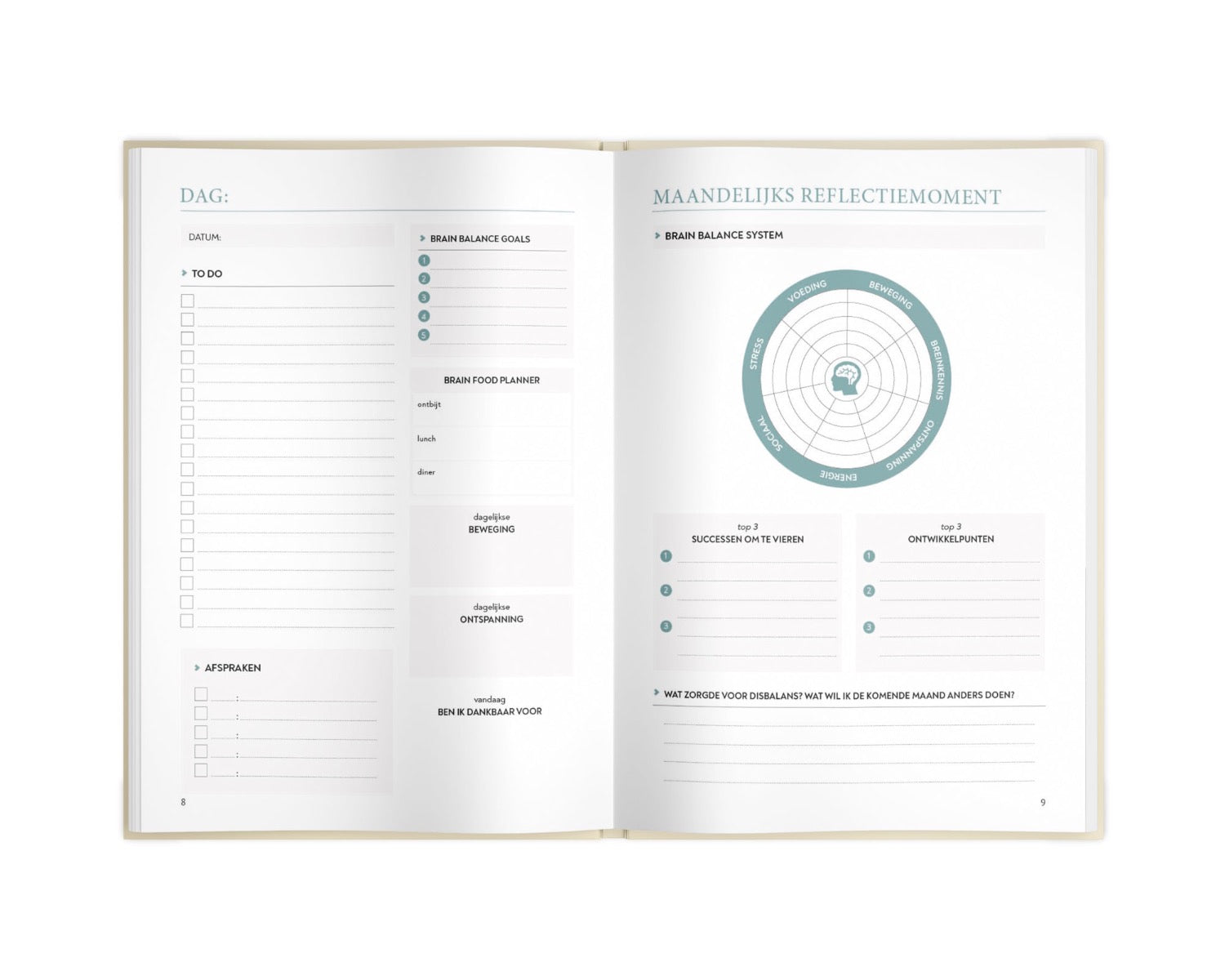 Brain Balance Journal - Light Orange Charlotte Labee