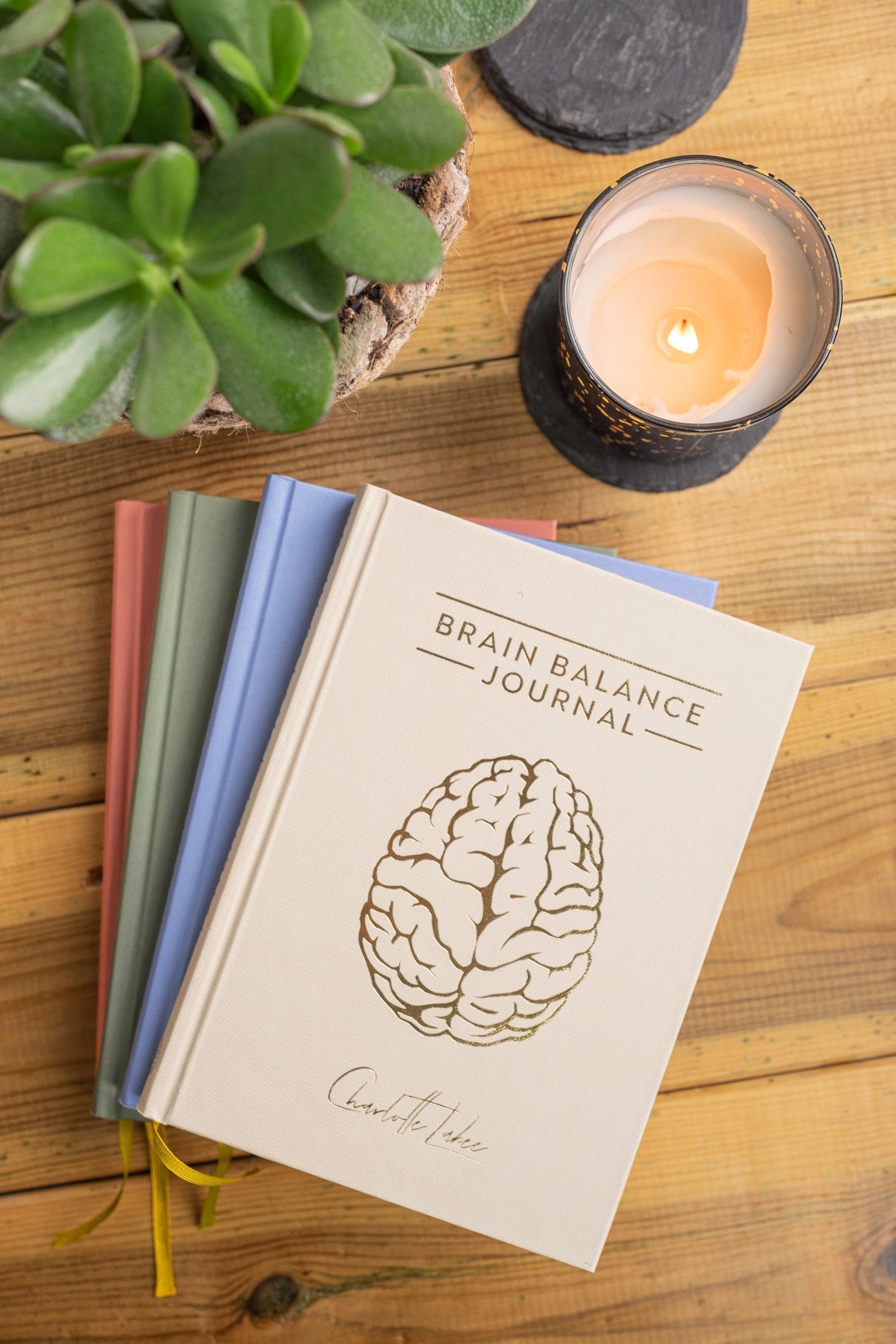 Brain Balance Journal - Collection box Charlotte Labee